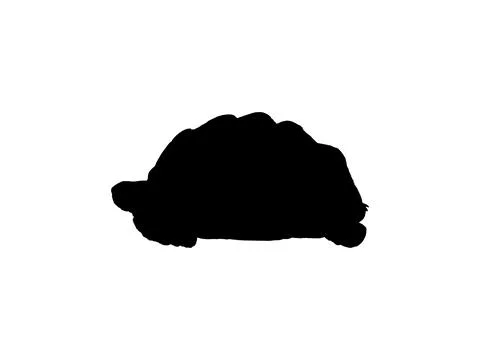 Tortoise Silhouette Isolated Stock Illustration