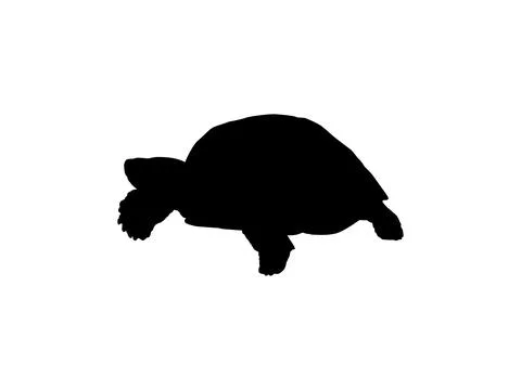Tortoise Silhouette Isolated Illustrazione stock
