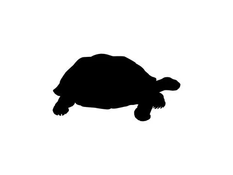 Tortoise Silhouette Isolated Stock Illustration