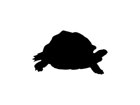 Tortoise Silhouette Isolated Stock Illustration