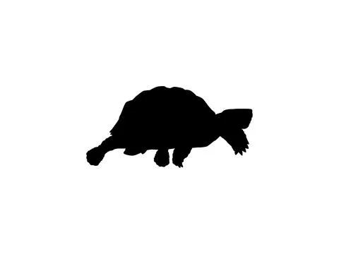 Tortoise Silhouette Isolated Illustrazione stock