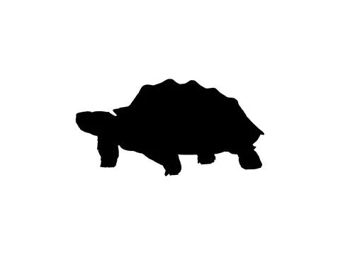 Tortoise Silhouette Isolated Stock Illustration