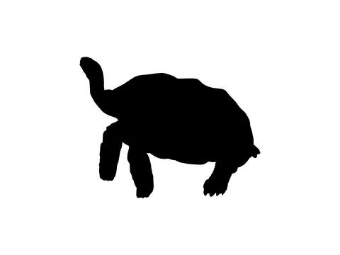 Tortoise Silhouette Isolated Stock Illustration