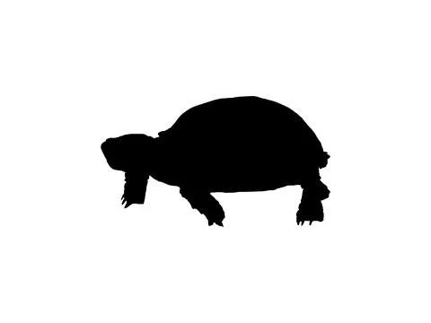 Tortoise Silhouette Isolated Stock Illustration