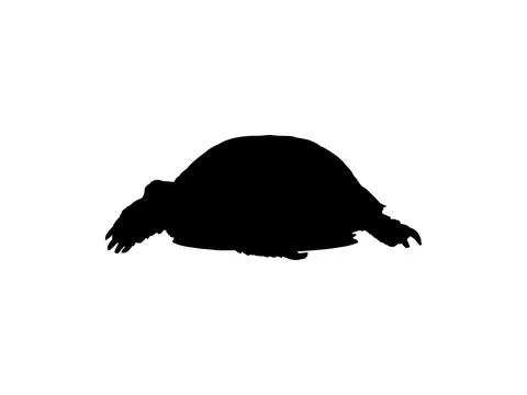 Tortoise Silhouette Isolated Stock Illustration