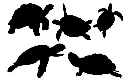 Tortoise silhouette vector for websites, graphics related artwork Stock Illustration