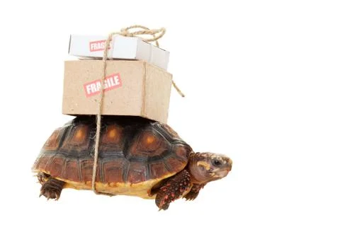 Tortoise slow mail Stock Photos