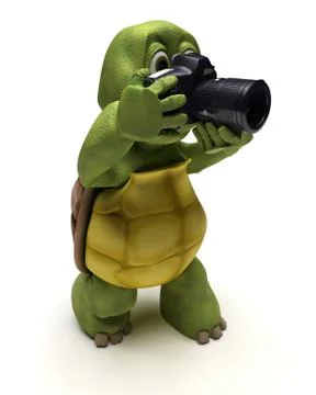 Tortoise with slr camera Stock Illustration