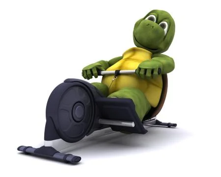 Tortoise training on a rowing machine Stock Illustration