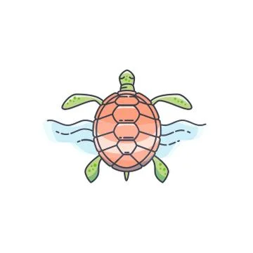 Tortoise vector illustration Stock Illustration