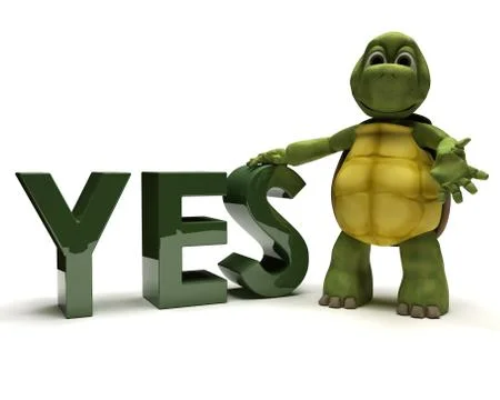 Tortoise with a yes sign Stock Illustration