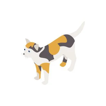 Tortoiseshell cat icon, isometric 3d style Stock Illustration
