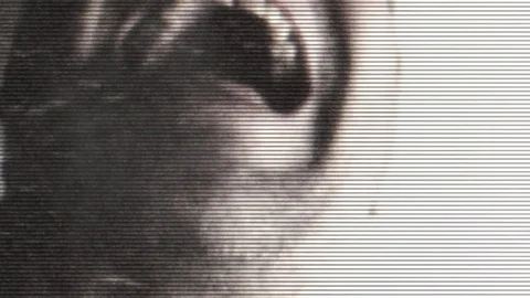 A tortured man screams Vídeos de archivo 71895305