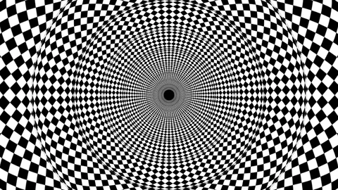 Torus Chequered Looping Animation Stock Footage 73342237