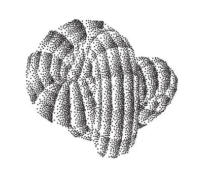 Torus with stipple gradient divided on polygons イラスト素材