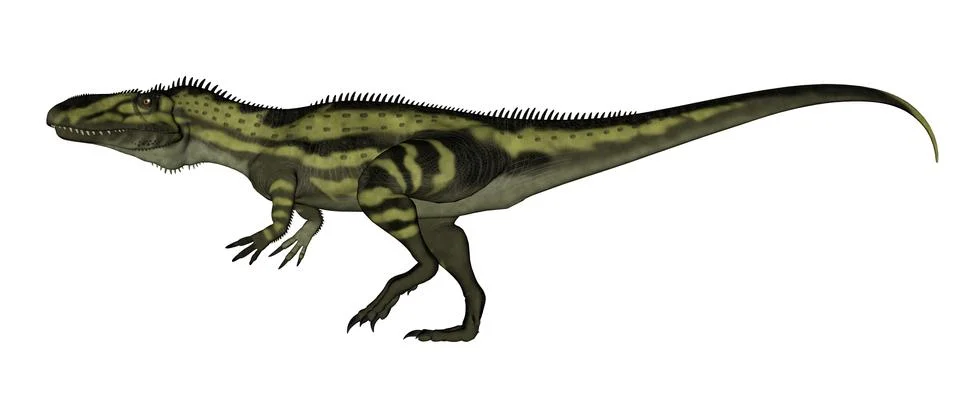 Torvosaurus dinosaurs walking - 3D render Stock Illustration