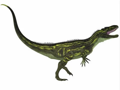 Torvosaurus on white Stock Illustration