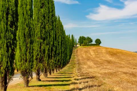 Toscana Landscape Foto stock