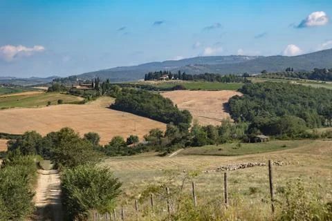 Toscana Stock Photos