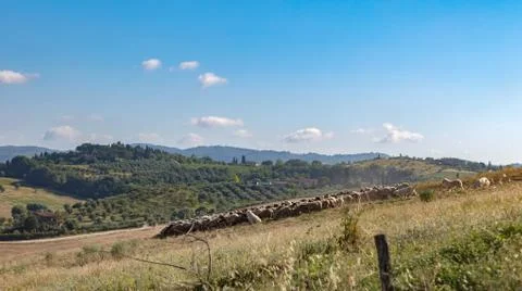 Toscana Stock Photos