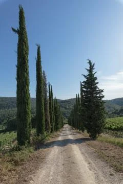 Toscana Stock Photos