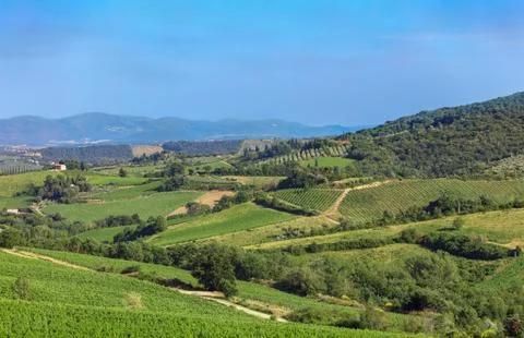 Toscana Stock Photos