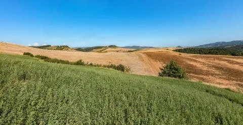 Toscana Stock Photos