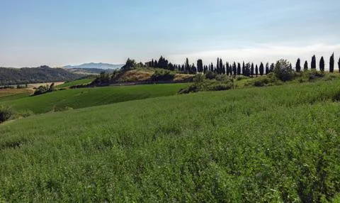 Toscana Stock Photos
