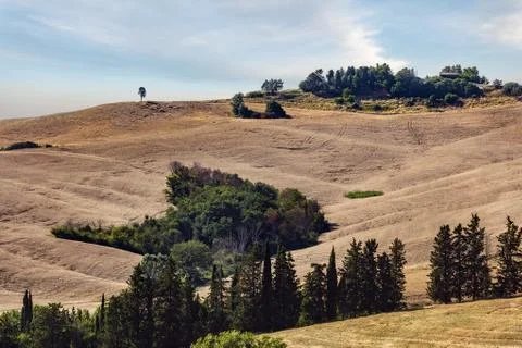 Toscana Stock Photos