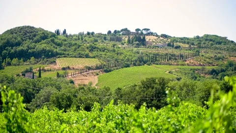 Toscane Lecchi Video stock 158099542