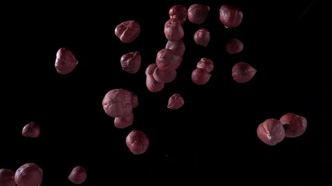 Tossed hazelnuts Stock Footage 129908040