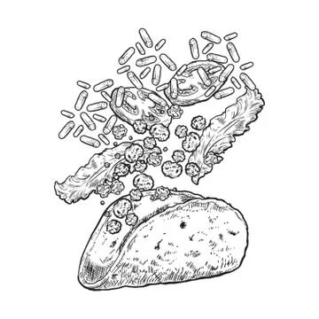 Tossed taco Illustrazione stock