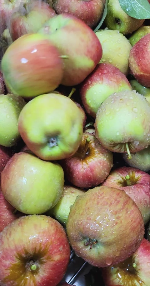 Tossing Apples Into Sink While Rinsing Stock Footage 288870288