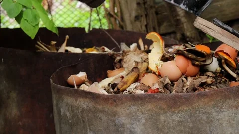 Tossing eggshells and fruit peels into outdoor compost bin made from rusty metal Stock Footage 309307060