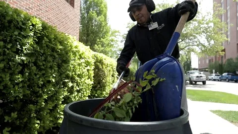 Tossing Leave Close Up Stock Footage 100074822
