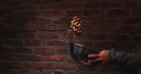 Tossing Olives Video stock 274774363