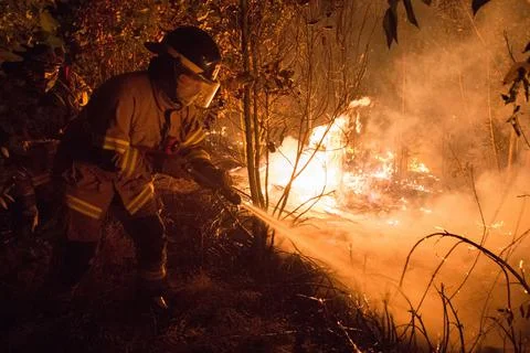 A total of 32 active forest fires affect southern Chile, Traiguen - 10 Feb 2019 Stock Photos