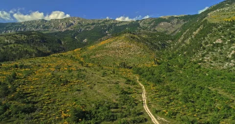 Total aerial view of Monte Morrone and a grove of yellow colored brooms Video stock 246043876
