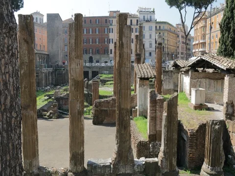 Total of ancient columns of a Roman temple Stock Footage 74462706