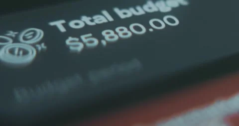 Total Budget on money tracker app, sum of money spent in supermarket Stock Footage 313353373