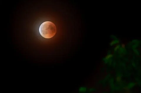 The total eclipse of the moon, the bloody moon at night. Stock Photos