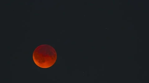 Total Lunar Eclipse Blood Moon Stock Footage 317511838