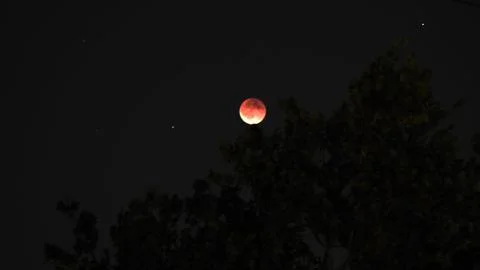 Total Lunar Eclipse – Glowing Red Moon in Night Sky Stock Photos