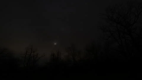 Total lunar eclipse moon glowing through clouds above trees in Arkansas Stock Footage 345264706