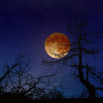 Total lunar eclipse Stock Photos