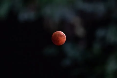 Total lunar eclipse (red moon) of 27 July 2018 Fotos Stock