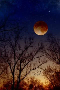 Total moon eclipse Stock Photos