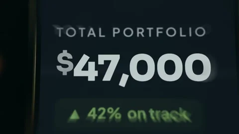 Total Portfolio Value of 47K USD with 42 percent on track Stock Footage 335923483