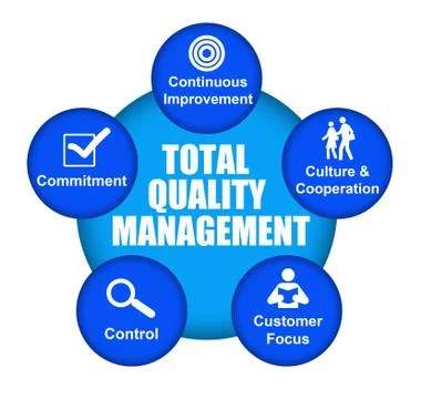 Total quality management Illustrazione stock