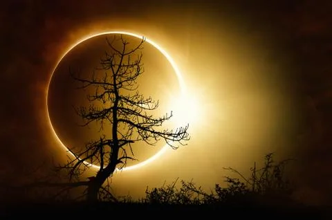 Total solar eclipse in dark sky Stock Photos